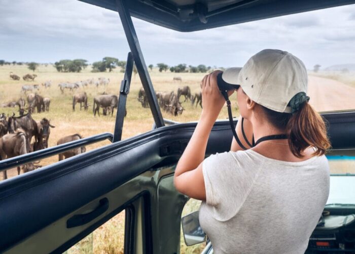africa-safari-home-paralax-1536x895